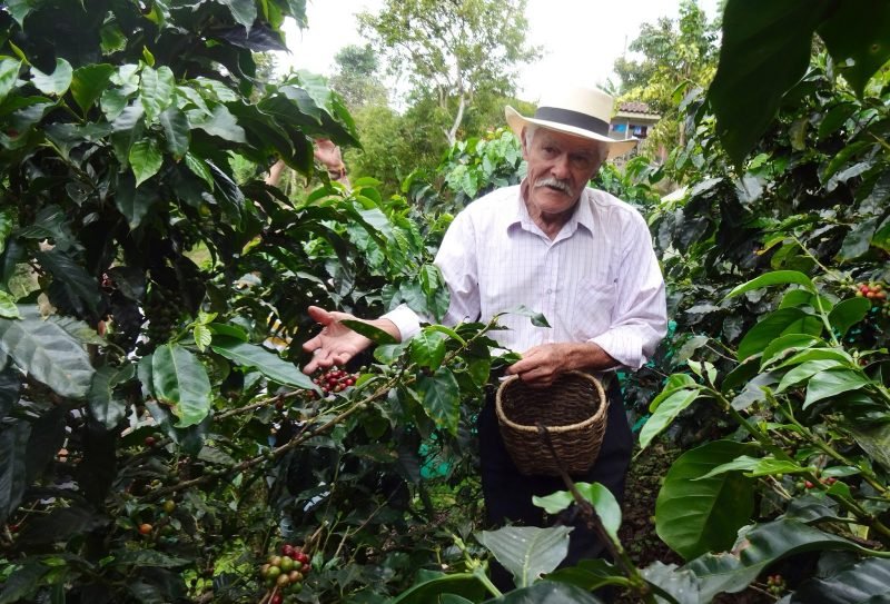 colombia-coffee-farm (1)